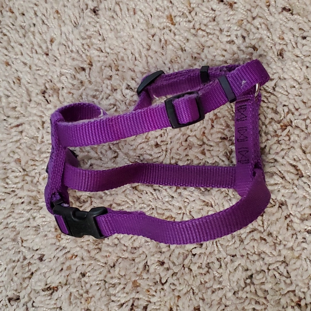 Purple harness